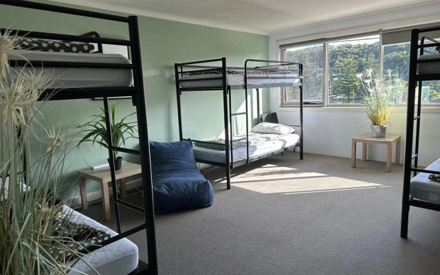 Sow and Piglets Guesthouse - Hostel