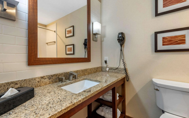 Comfort Inn & Suites Triadelphia - Wheeling