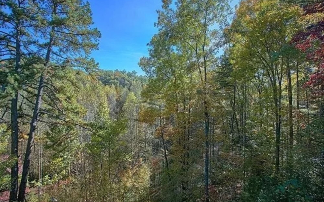 4BR Cabin w Private Pool & Hot Tub