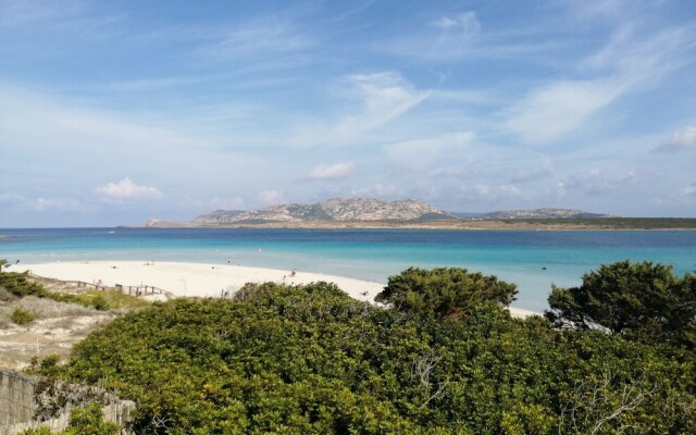 Stintino vacanze vicino al mare