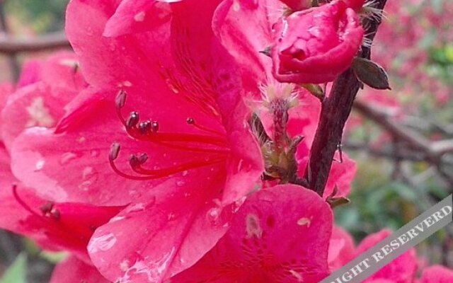 Tianxia Yijia Farmhouse