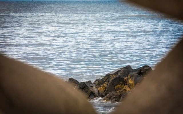 Pohang Bagliore Pension