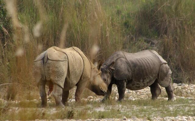 Nepal Wildlife Resort