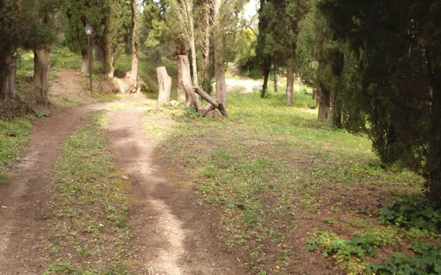 La Salute Green Health