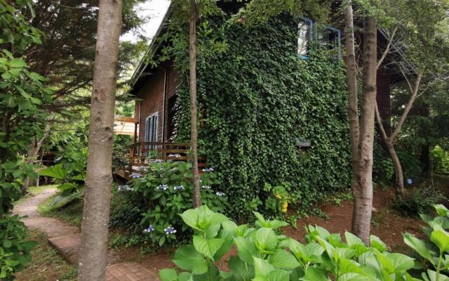 Cabaña Pudomo en Coñaripe con Hot-tub Exclusivo