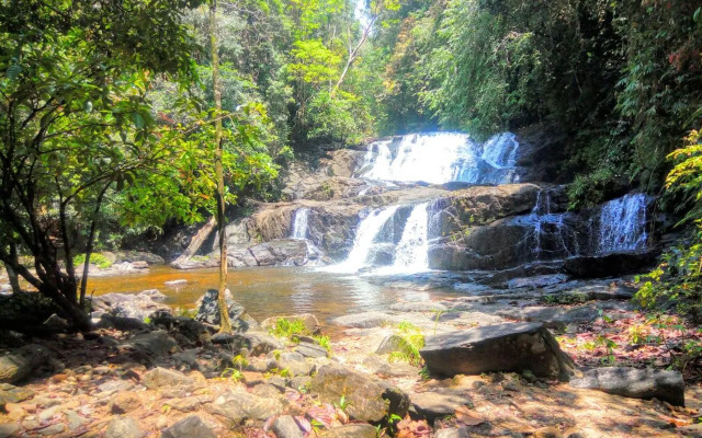 Rainforest Nature House