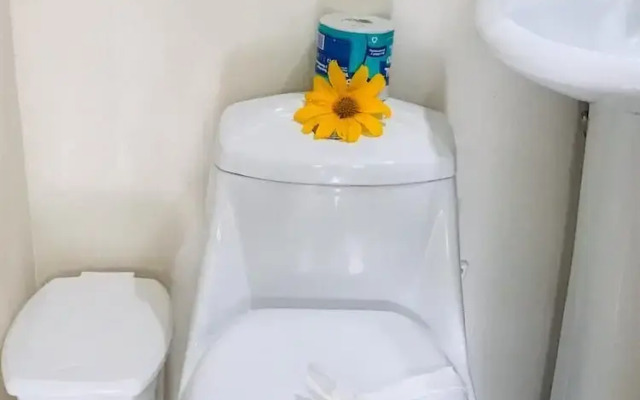 Olivo Verde Cabin Container