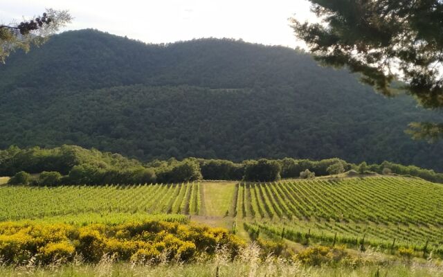 Agriturismo Borgo Macereto