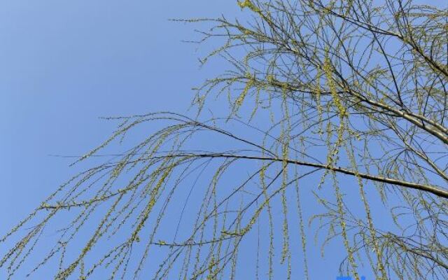 Sanshan Island Bee Cai Homestay