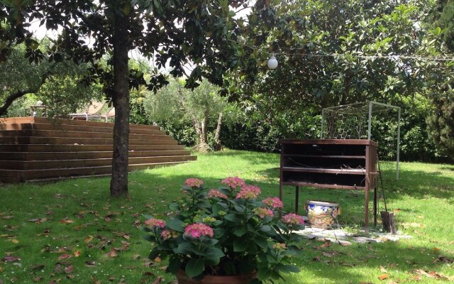 Il Collesu - Apartment in the Heart of Tuscany