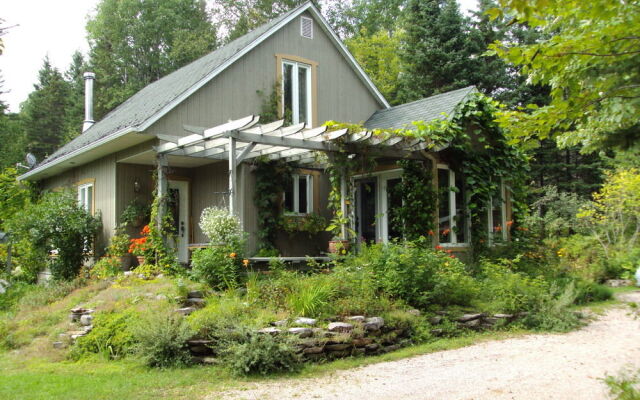 Gite Forestier De La Riviére Saguay