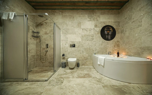 Serene Premium Stone House