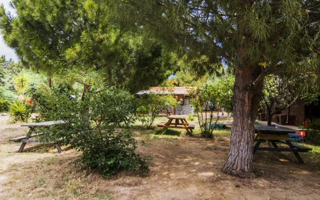 Agora Tatil Duragi