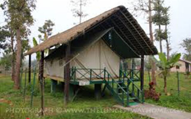 Chitwan Adventure Resort