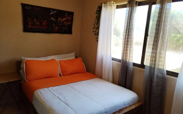 Campestre House - Hostel