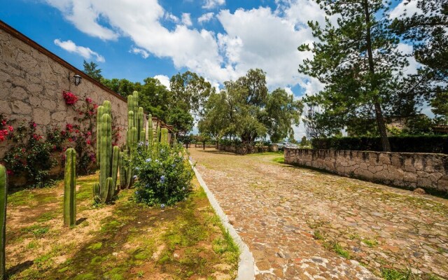 XANI MUI Rancho Equus