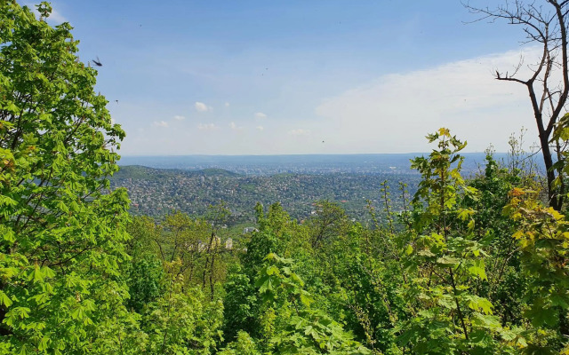 Zöld Relax Apartments