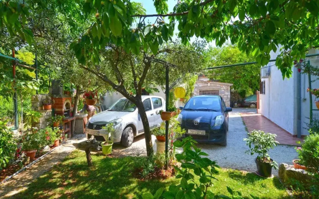 Spacious Apartment With Garden