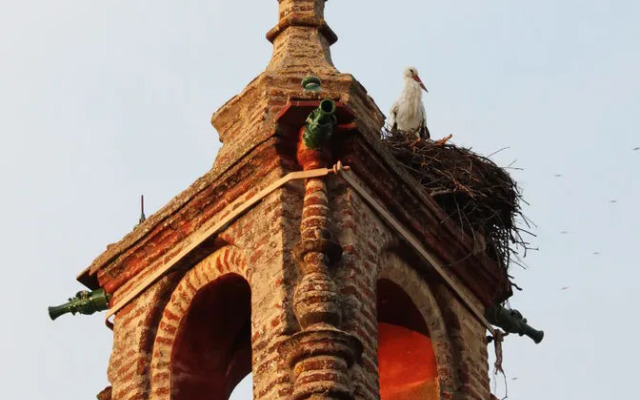 El Palacio de San Benito