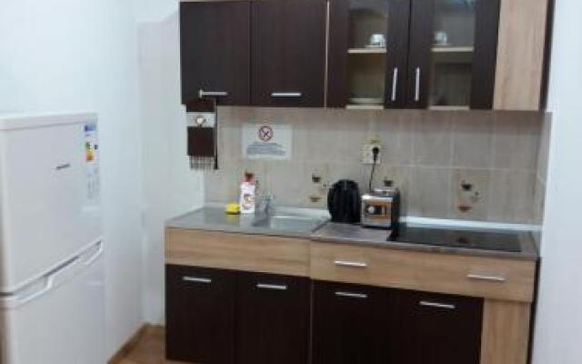 Pensiunea Red Rose Apartments