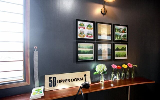 5D Upper Dorm Shared Room Hostel