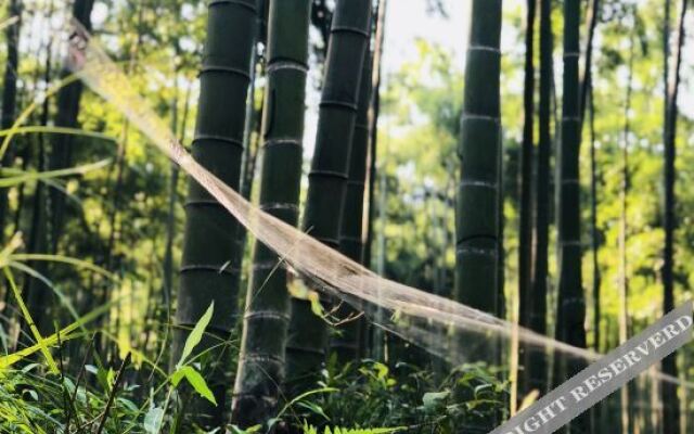 Yingwuxin Boutique Hostel Mount Mogan