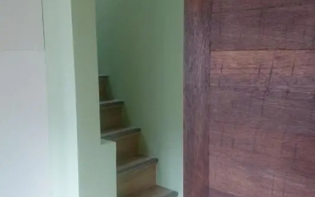 Baumwipfel
