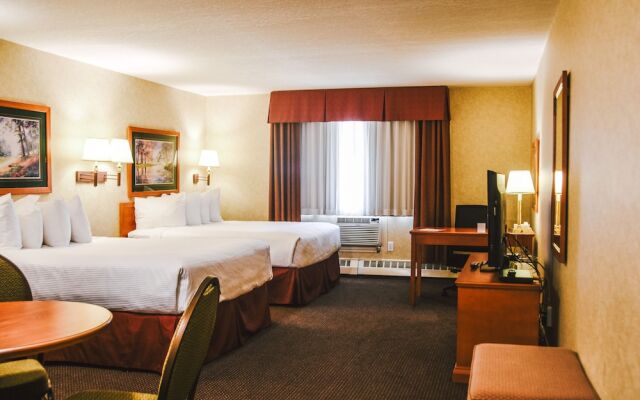 Stony Plain Inn And Suites