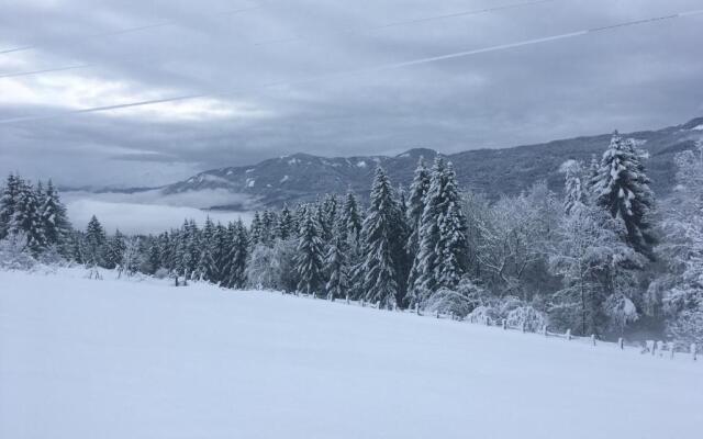 Naturgut Gailtal