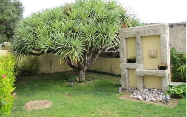 Casa do Velho Dragoeiro