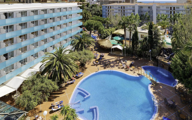 H10 Delfín - Adults Only