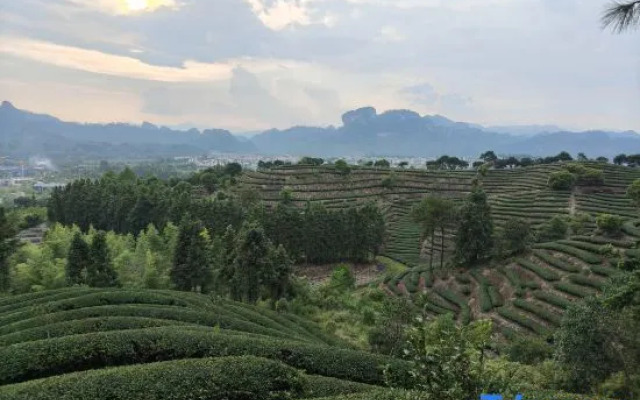 Wuyishan Rongjingshu Hotel
