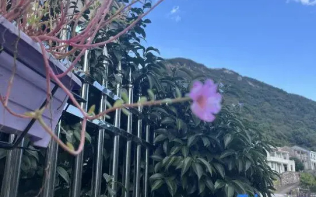 Xiangshan Fancheng Homestay