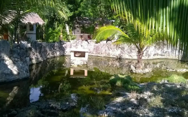 Casa de Las Tortugas I Tour Akumal