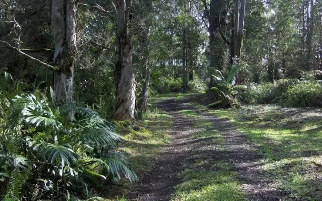 Secluded Rainforest Retreat