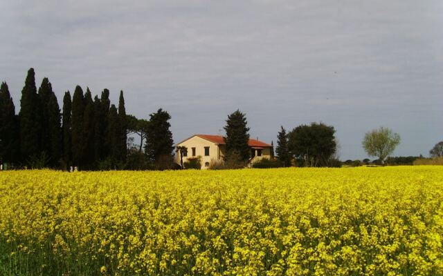 Il Bosco Agriturismo