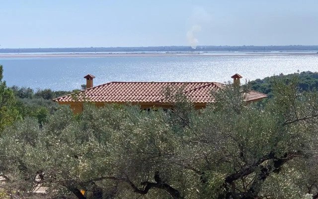 Casa Mola