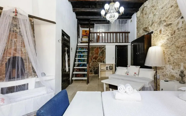Antonia's House