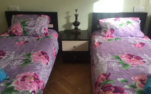Aleksidze 2