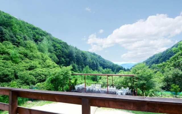 The Tree in the Lake