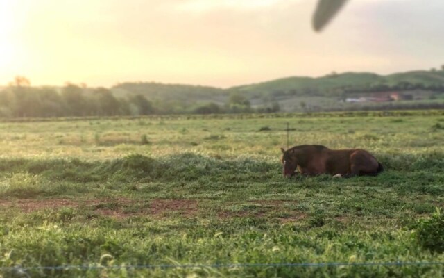 Agriturismo Il Puntoncino