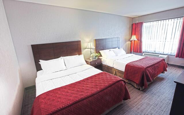 Hotel Universel