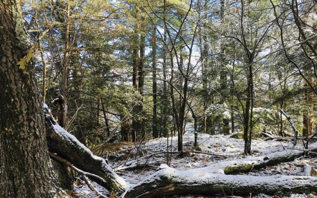 The Inn on Lake Champlain