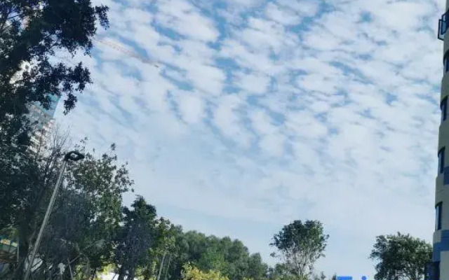 Dongshan Xuqi Seaview B&B