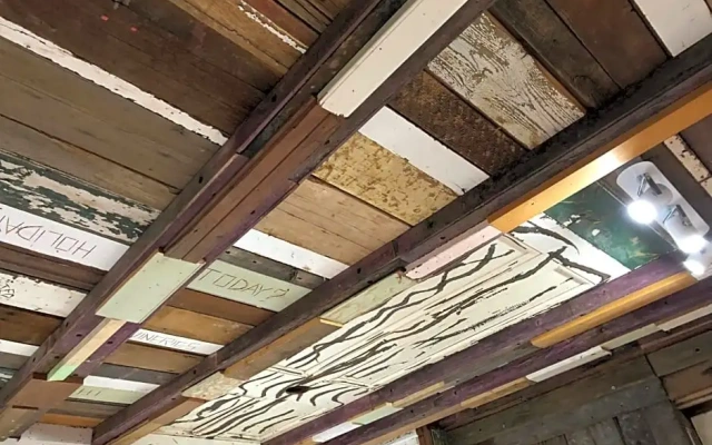 Bed in a Shed