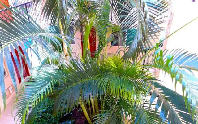 Mexican Caribe Beach B&B