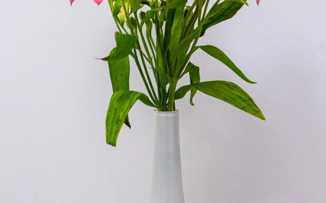 Уютная студия с видом на горы