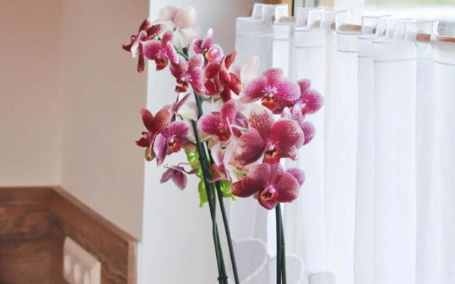 Sonnenchalet 2 im Salzburger Lungau