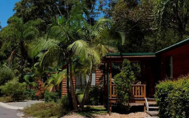 The Palms At Avoca