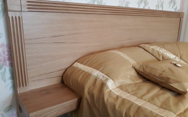 Kvartira U Nmits Im. Almazova Apartments